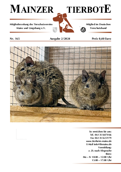 Ausgabe 165