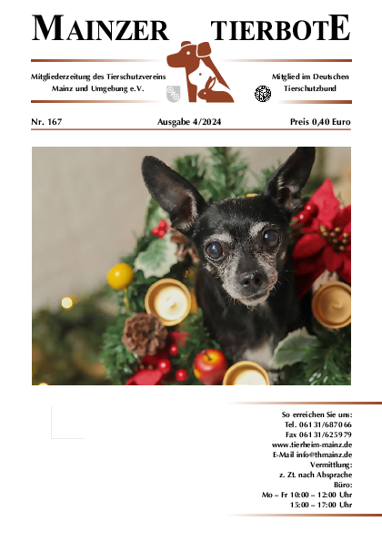 Ausgabe 167