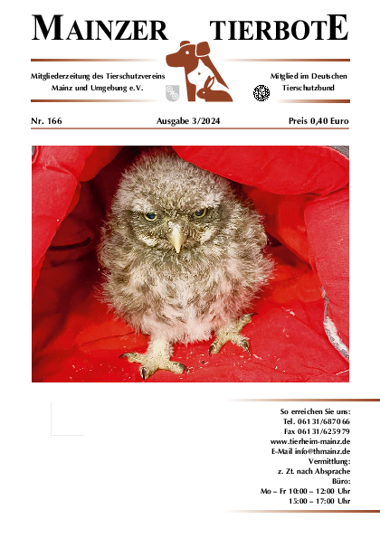 Ausgabe 166
