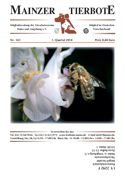 Ausgabe 143